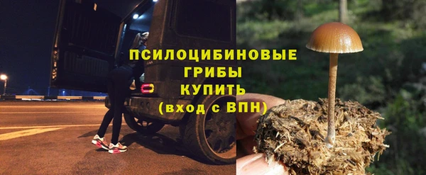 a pvp Бугульма