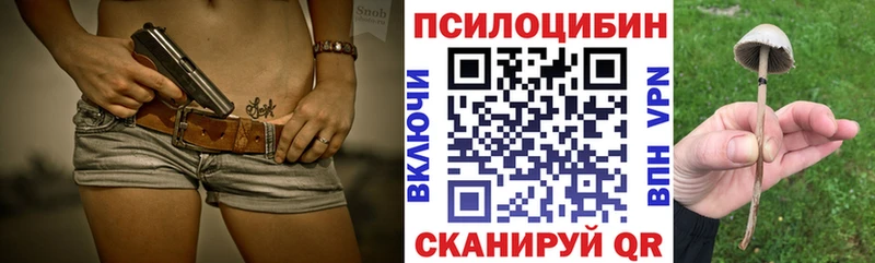 darknet как зайти  Пласт  Галлюциногенные грибы MAGIC MUSHROOMS 